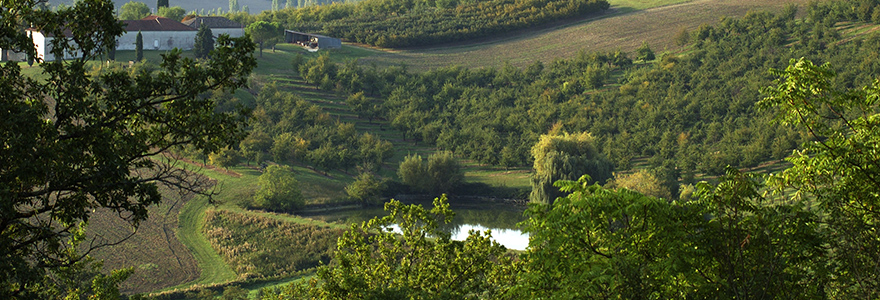 Canal de Garonne